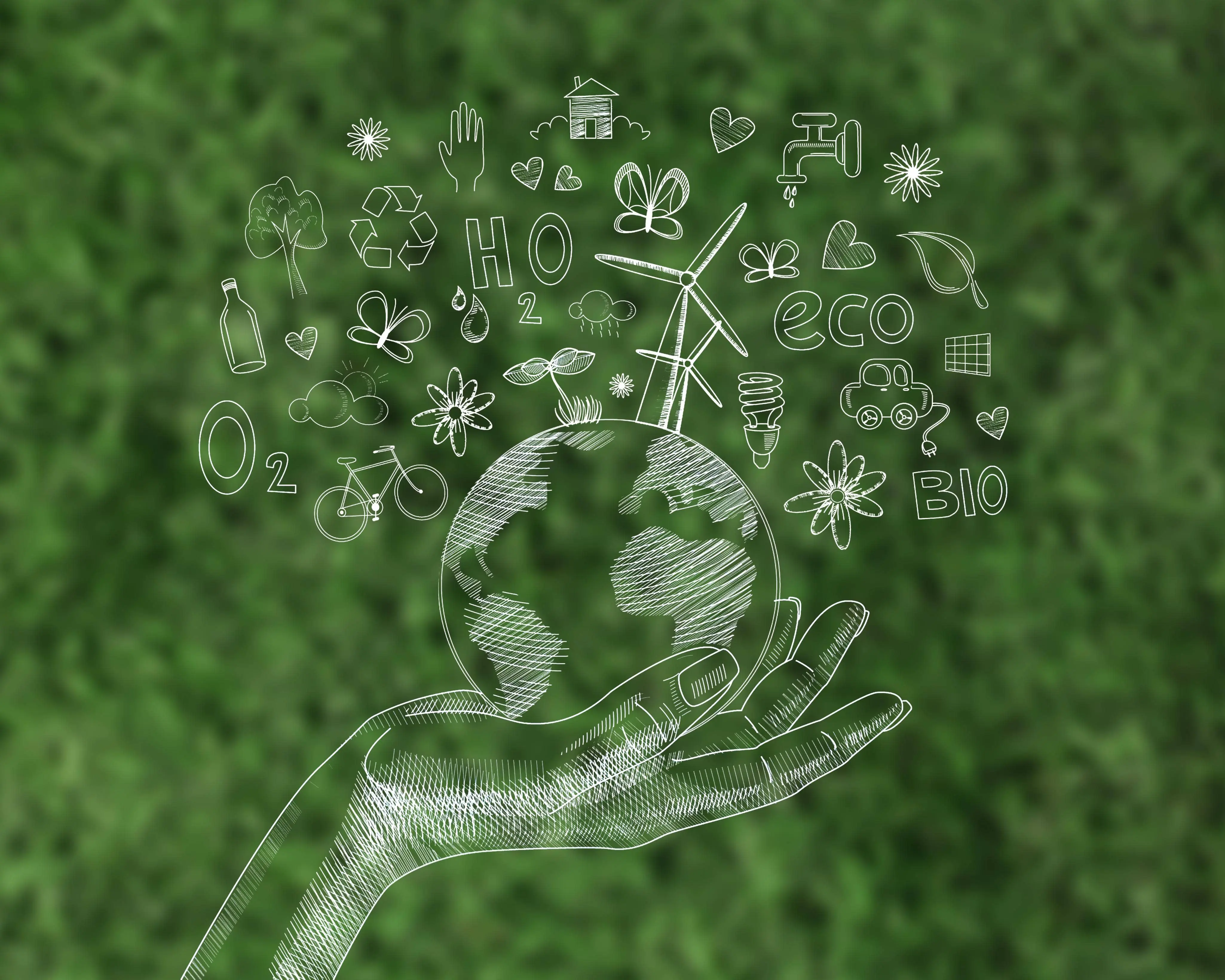 Environment, Health & Safety (EH&S)